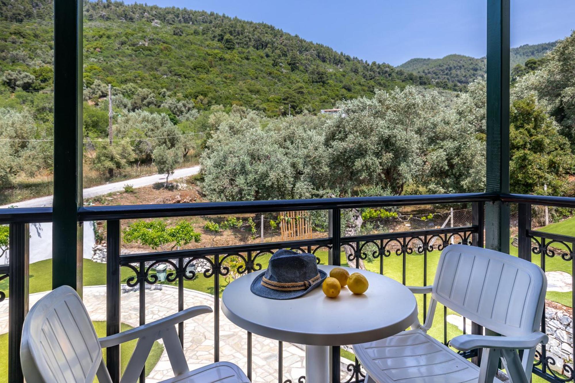 Panormos Beach Hotel Skopelos Værelse billede